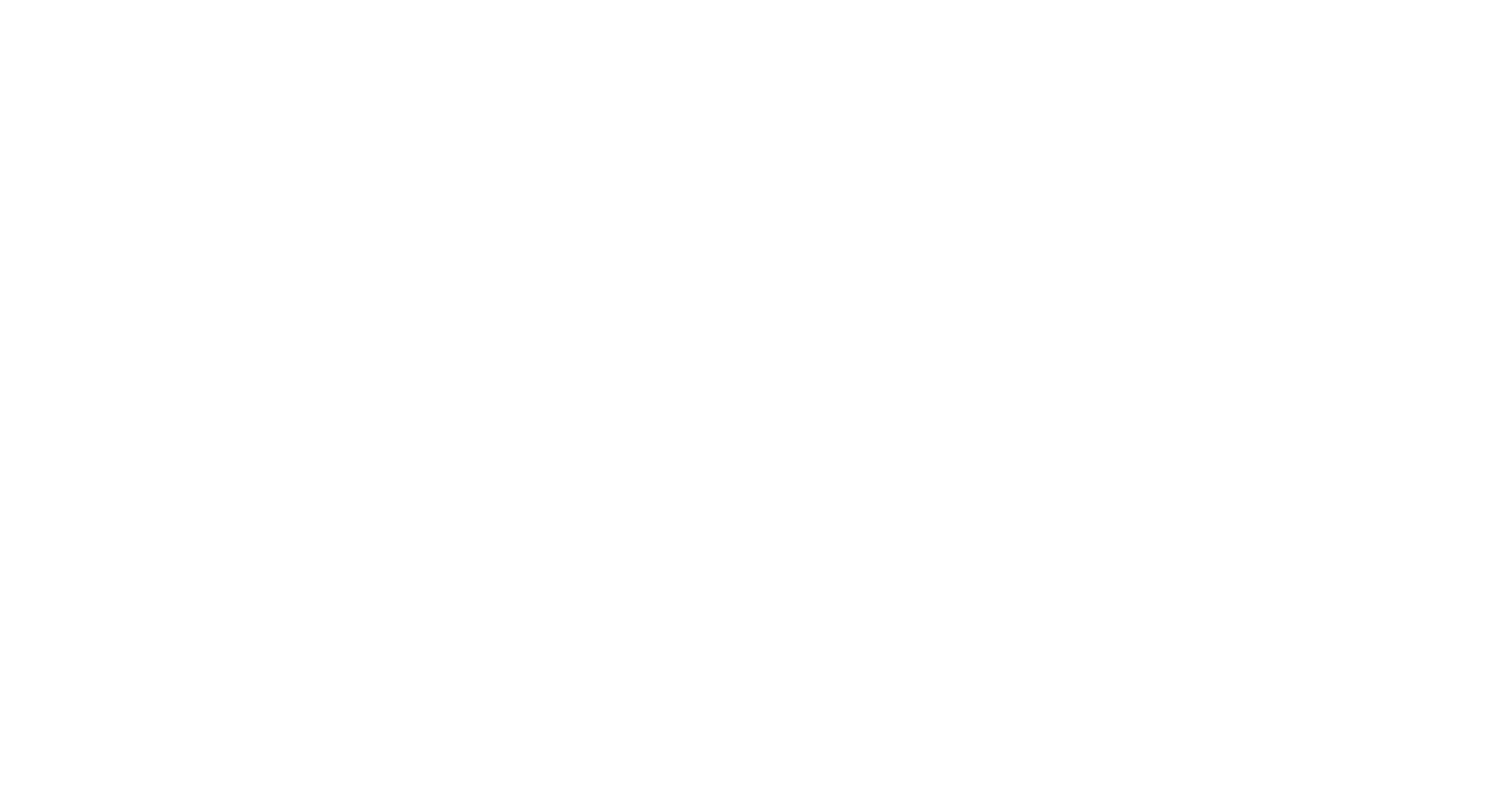 Detail Mates Logo (Mobile Car Wash)